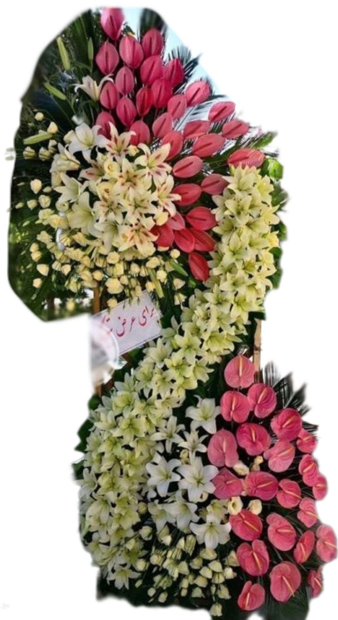 تاج گل تبریک مشبک